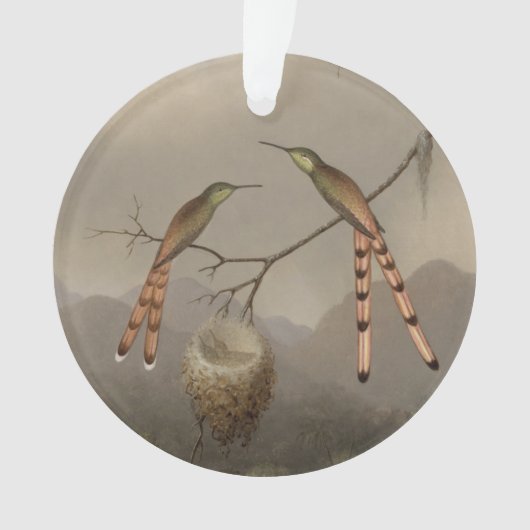 若者を持つ2羽のハチドリ オーナメント (正面)