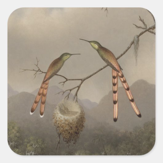 若者を持つ2羽のハチドリ スクエアシール (正面)