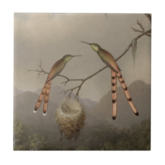 若者を持つ2羽のハチドリ タイル (正面)