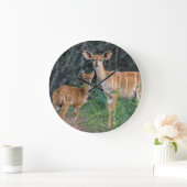若者、Ndumoを持つニアラ(Tragelaphus Angazii) ラージ壁時計 (ホーム)