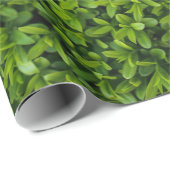 若草色の両掛けの閉めて下さい ラッピングペーパー (ロールコーナー)