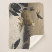 苦しみ：死んだ子羊の羊 シェルパブランケット (正面)