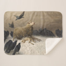 苦しみ：死んだ子羊の羊