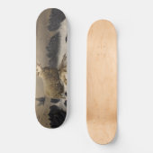 苦しみ：死んだ子羊の羊 スケートボード (正面)