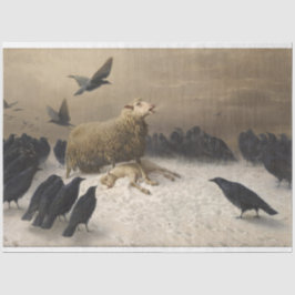 苦しみ:死んだ子羊の羊 薄葉紙