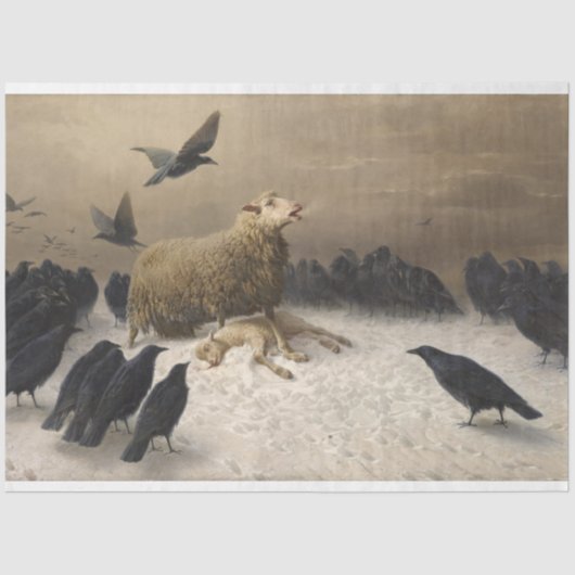 苦しみ:死んだ子羊の羊 薄葉紙 (正面)