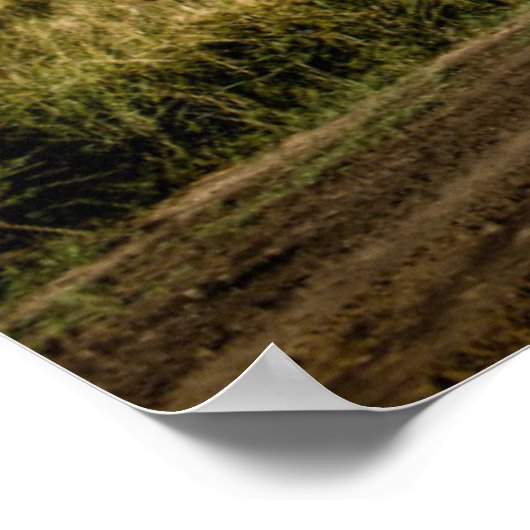 苦しんだ後で ポスター (角)