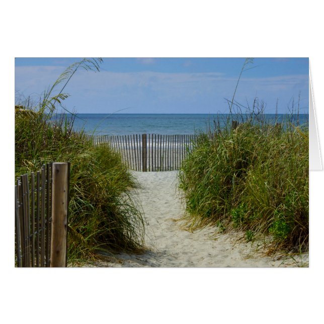 苦労をする遠くに (正面横)