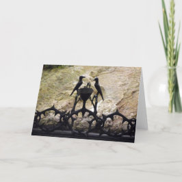 苦悩の岩、エルサレム、イスラエル - カラー、カード カード