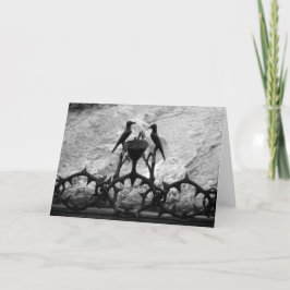 苦悩の岩、エルサレム、イスラエル - モノクロカード カード