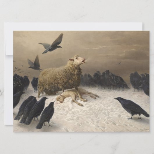 苦悩: 死んだ子羊を抱える羊 カード (正面)