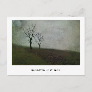 苦話語なし –  ポストカード