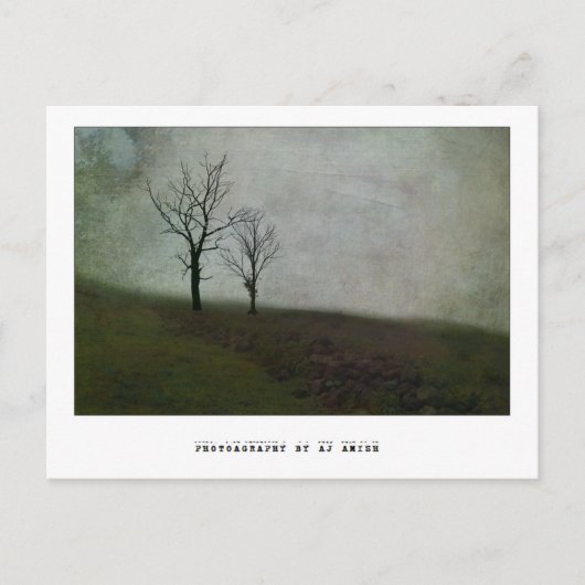 苦話語なし –  ポストカード (正面)