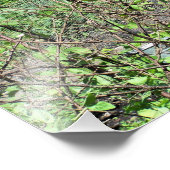 英ビクトリアン国 フォトプリント            (角)