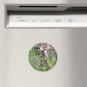 英ビクトリアン国 マグネット (インサイチュ (食洗機))