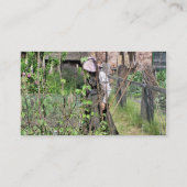 英ビクトリアン国 名刺 (裏面)