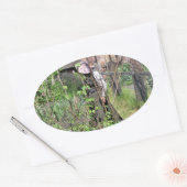 英ビクトリアン国 楕円形シール (封筒)