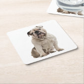 英国おもしろいブルドッグギフト子犬の恋人 スクエアペーパーコースター (アングル)