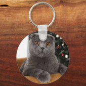 英国おもしろい猫・クリスマスツリー キーホルダー (正面)