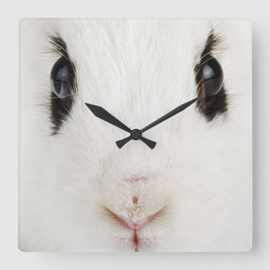 英国のうさぎ(Oryctolagus cuniculus) スクエア壁時計 (正面)