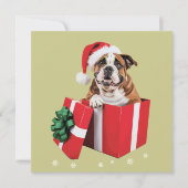 英国のおもしろいブルドッグ犬の木のクリスマスライト シーズンカード (正面)