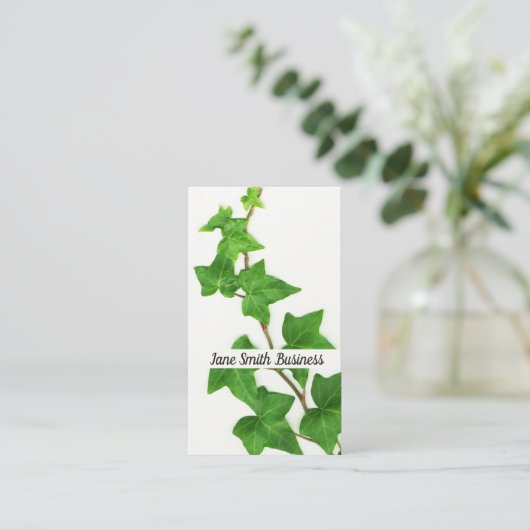英国のキヅタの白い背景の緑のつる植物 名刺 (スタンド正面)
