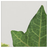 英国のキヅタの葉 ファブリック (クローズアップ)