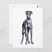 英国のグレイハウンド品種 ポストカード (正面/裏面)