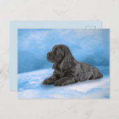 英国のコッカースパニエルの子犬 インビテーションポストカード (正面/裏面)