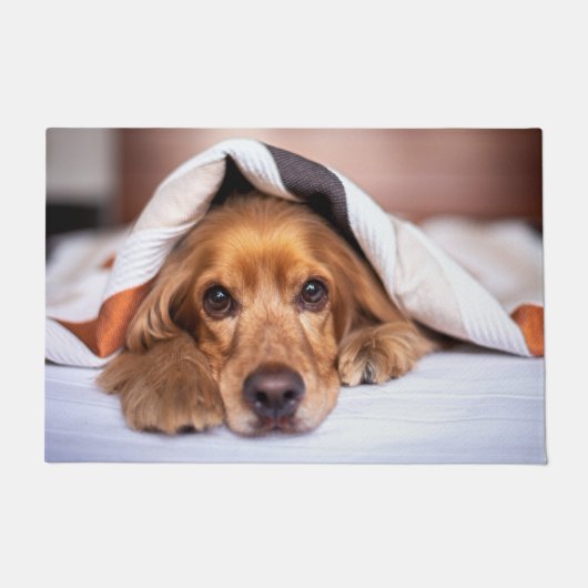 英国のコッカースパニエル犬犬 ドアマット (正面)