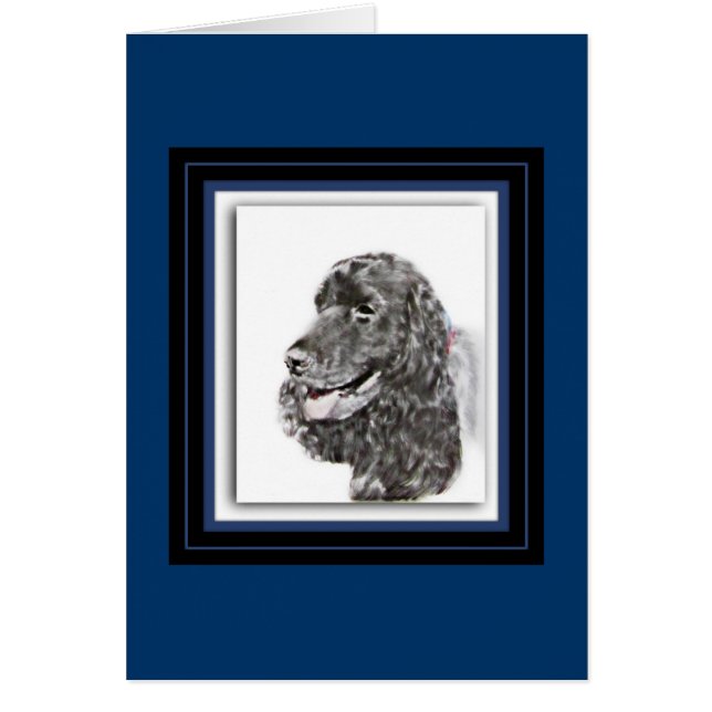 英国のコッカースパニエル (正面)