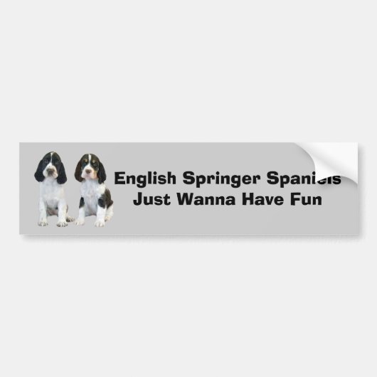 英国のスプリンガースパニエルのバンパーステッカー バンパーステッカー (正面)