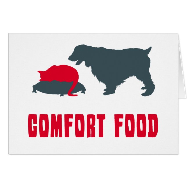 英国のスプリンガースパニエル (正面横)