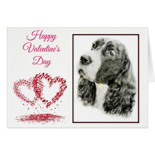 英国のスプリンガースパニエル (正面横)