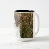 英国のスプリンガースパニエル-親友 ツートーンマグカップ (正面右)