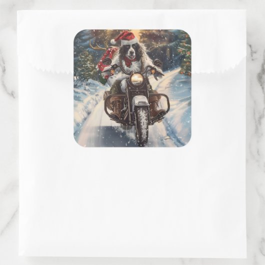 英国のセッタードッグにオートバイクリスマスに乗る スクエアシール (バッグ)