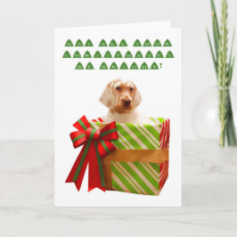 英国のセッター犬のクリスマスカード シーズンカード