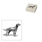 英国のセッター犬の品種 ラバースタンプ (押印)