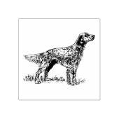 英国のセッター犬の品種 ラバースタンプ (インプリント)