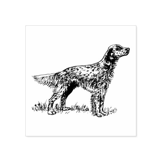 英国のセッター犬の品種 ラバースタンプ (インプリント)