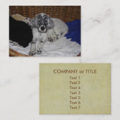 英国のセッター犬 名刺 (正面/裏面)