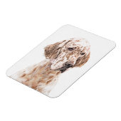 英国のセッター·オレンジ·絵画ベルトンの犬芸術 マグネット (左側)