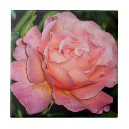 英国のバラのセラミックタイル タイル