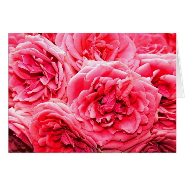 英国のバラの花束 (正面横)