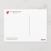 英国のヒツジ場面 ポストカード (裏面)