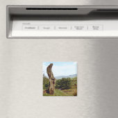 英国のピーク地区の風化した木 マグネット (インサイチュ (食洗機))