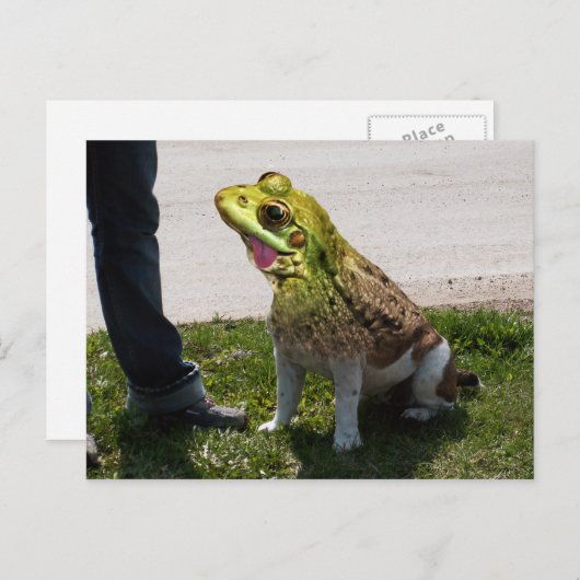英国のブルカエル ポストカード (正面/裏面)