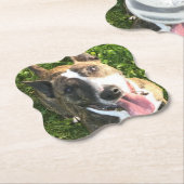 英国のブルテリアコースター ペーパーコースター (アングル)