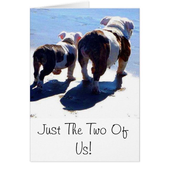 英国のブルドッグおよび子犬 (正面)