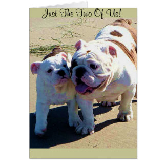 英国のブルドッグちょうど私達二人!